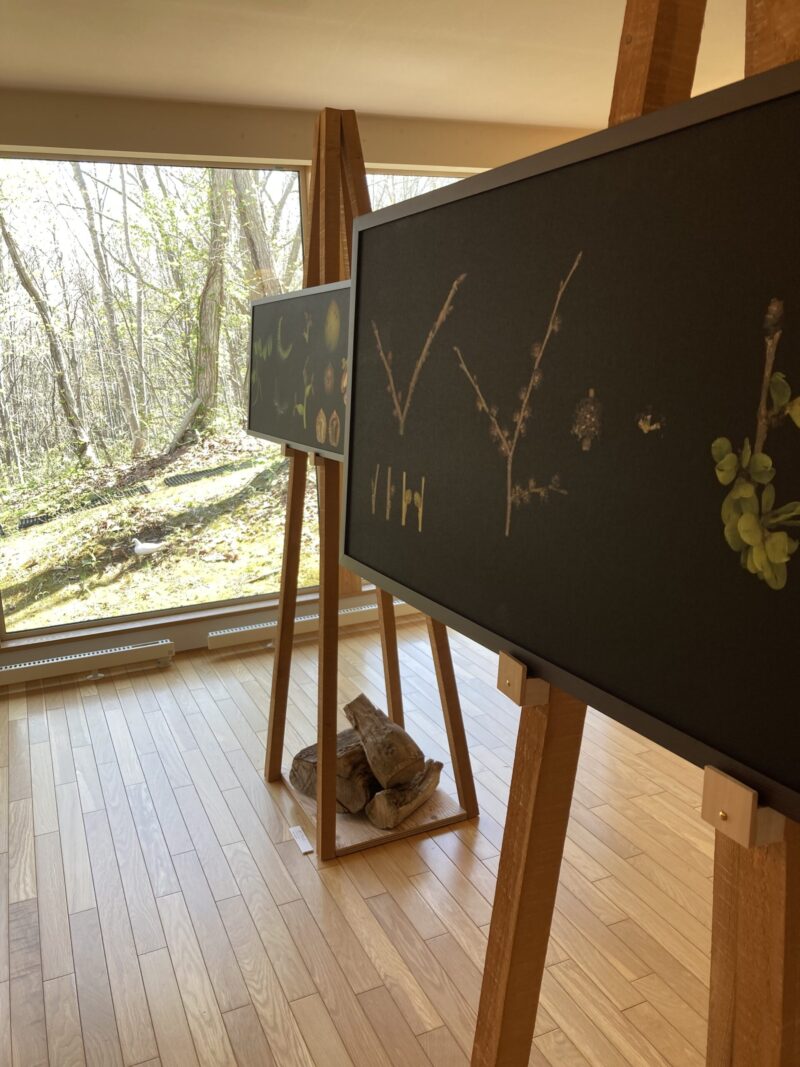 黒い森美術館