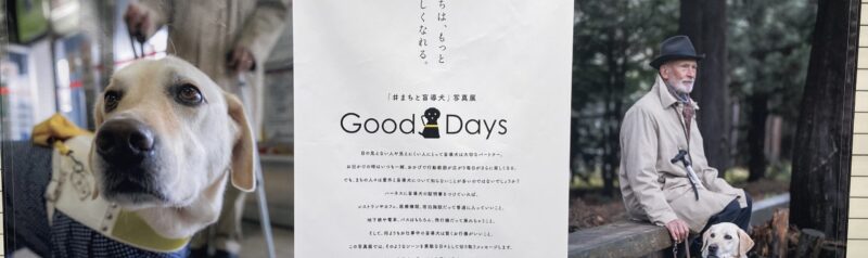 盲導犬写真展