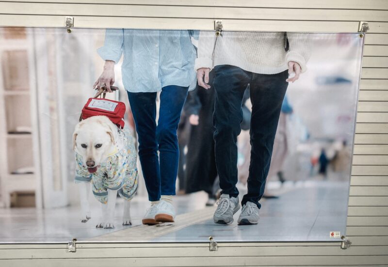 盲導犬写真展