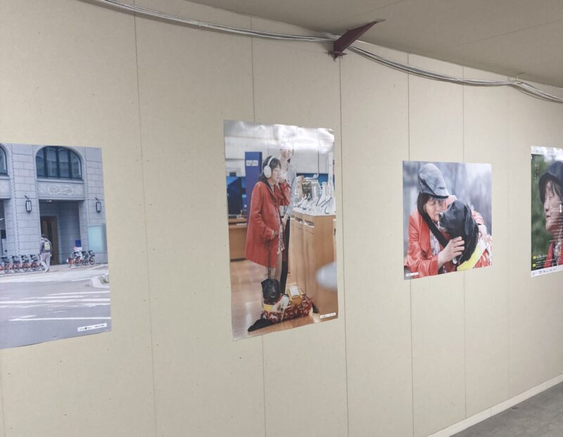盲導犬写真展