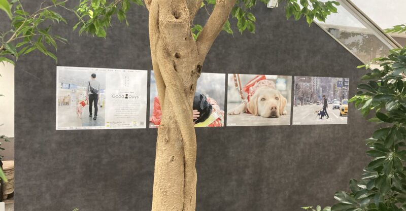 盲導犬写真展