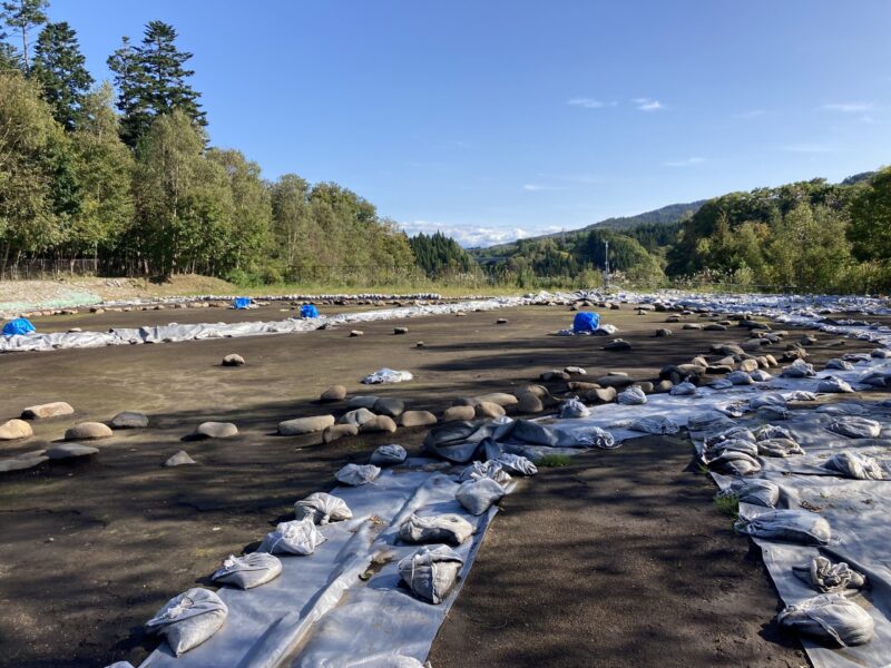 北海道森町の世界遺産鷲ノ木遺跡にある、縄文人の美意識が光る大規模な環状列石(ストーンサークル)