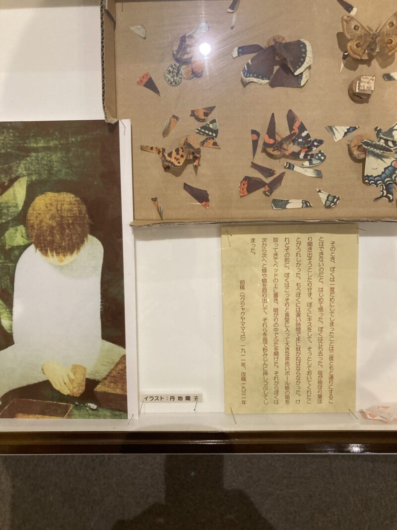 北大総合博物館 人文的昆虫展 ヘルマン・ヘッセ 蝶
