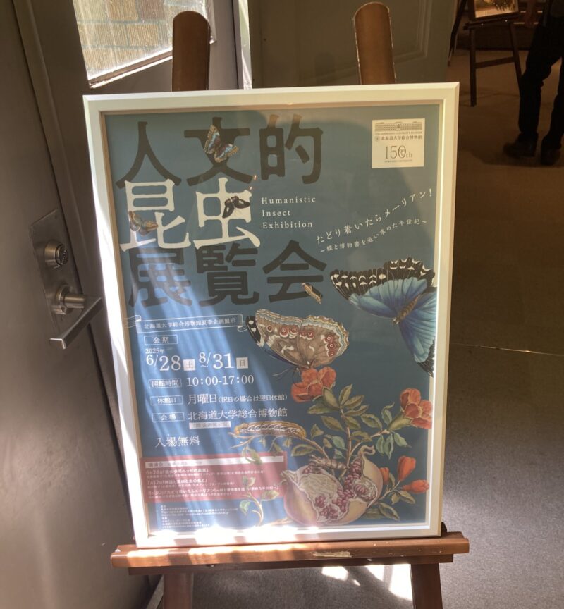 北海道大学総合博物館 人文的昆虫展 2025 ポスター