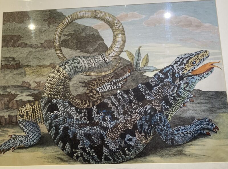 マリア・メーリアン スリナム産昆虫変態図譜 人文的昆虫展