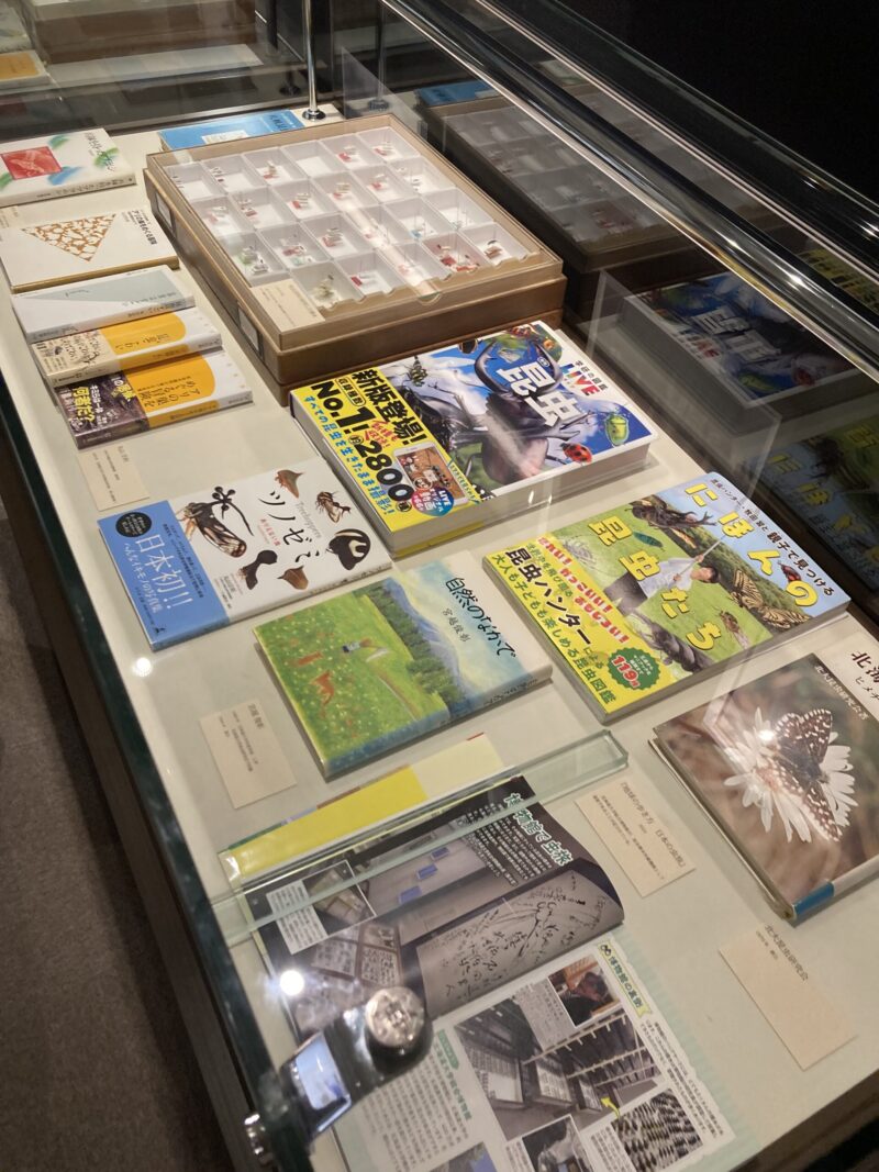 北大総合博物館 人文的昆虫展 展示風景