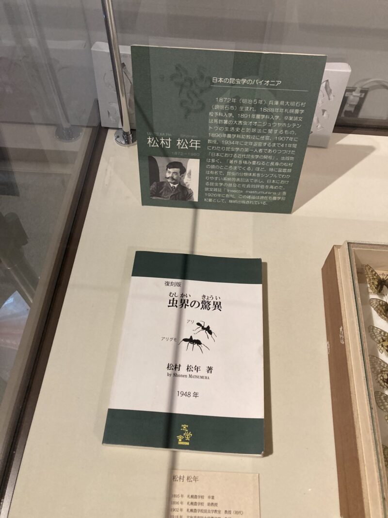 北大昆虫学 松村松年 著書 人文的昆虫展
