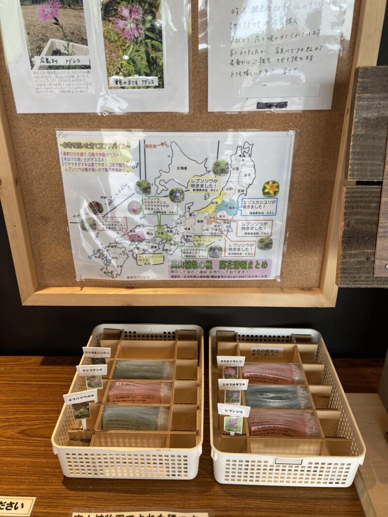 礼文島高山植物園の花の種