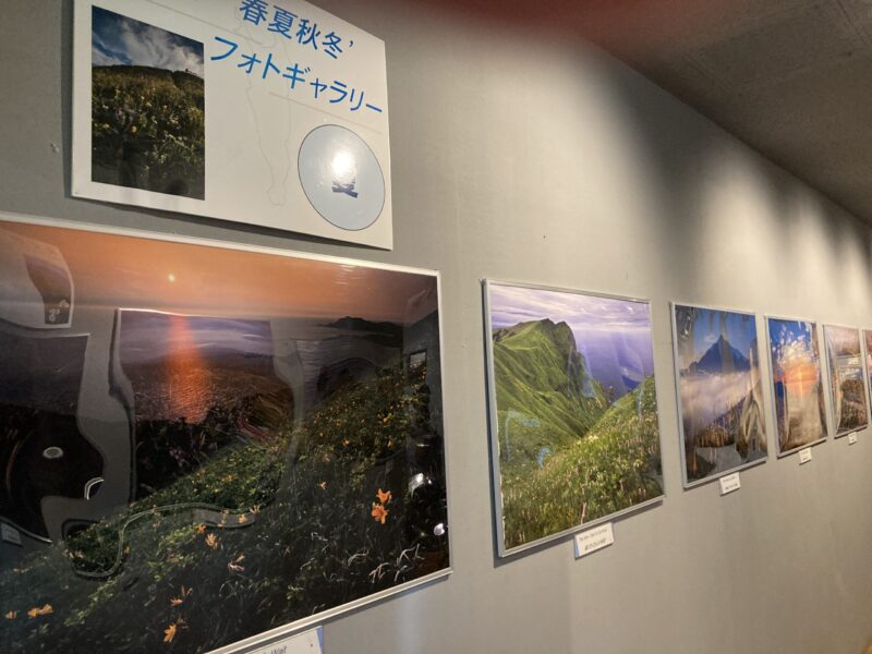 礼文島の四季を写した写真