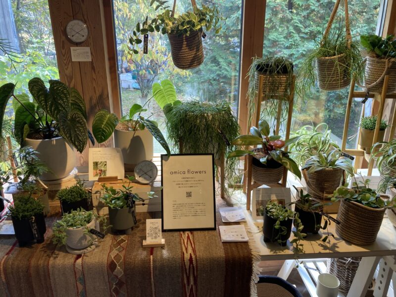 北の住まい設計社で販売されているグリーン