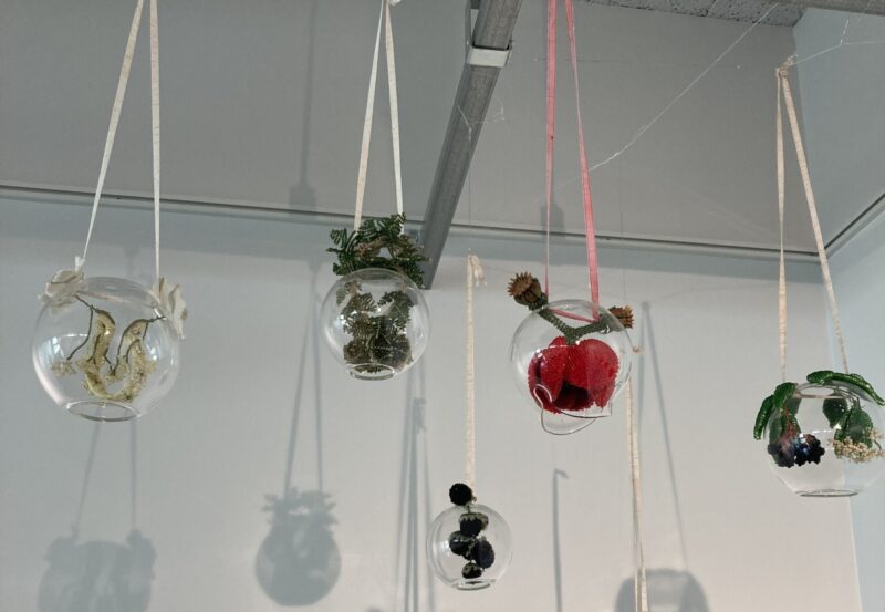 レグラ・マリア・ミュラーさんの作品