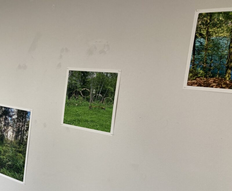 レグラ・マリア・ミュラーさんの作品