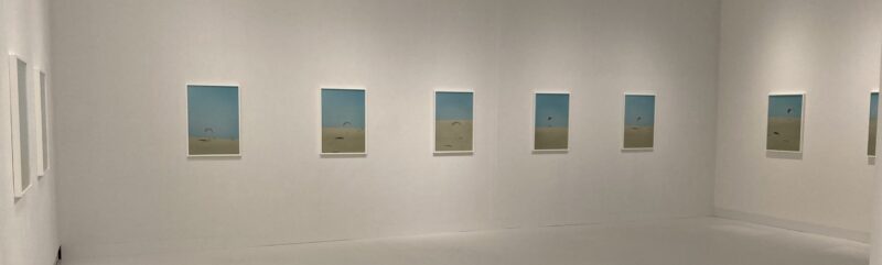 芸森リフレクションズ展示作品「虹」野口里佳、C-print 展示風景