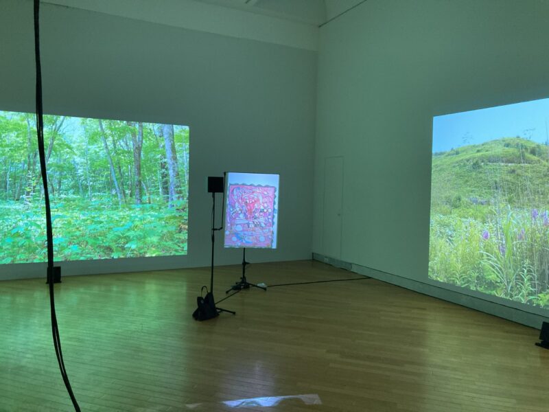 芸森リフレクションズ展示作品「草の根のリズム」青木陵子+伊藤存、サウンドビデオ・インスタレーション