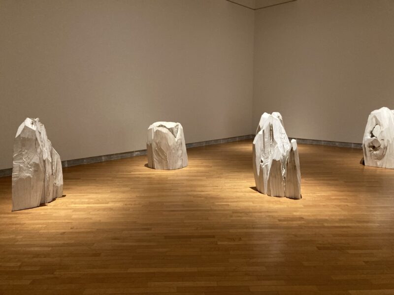 芸森リフレクションズ展示作品「GLACIER MOUNTAIN」国松希根太 の展示風景