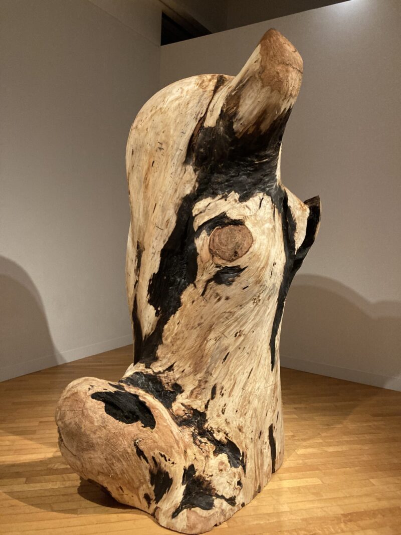 芸森リフレクションズ展示作品「LAOCOON」国松希根太