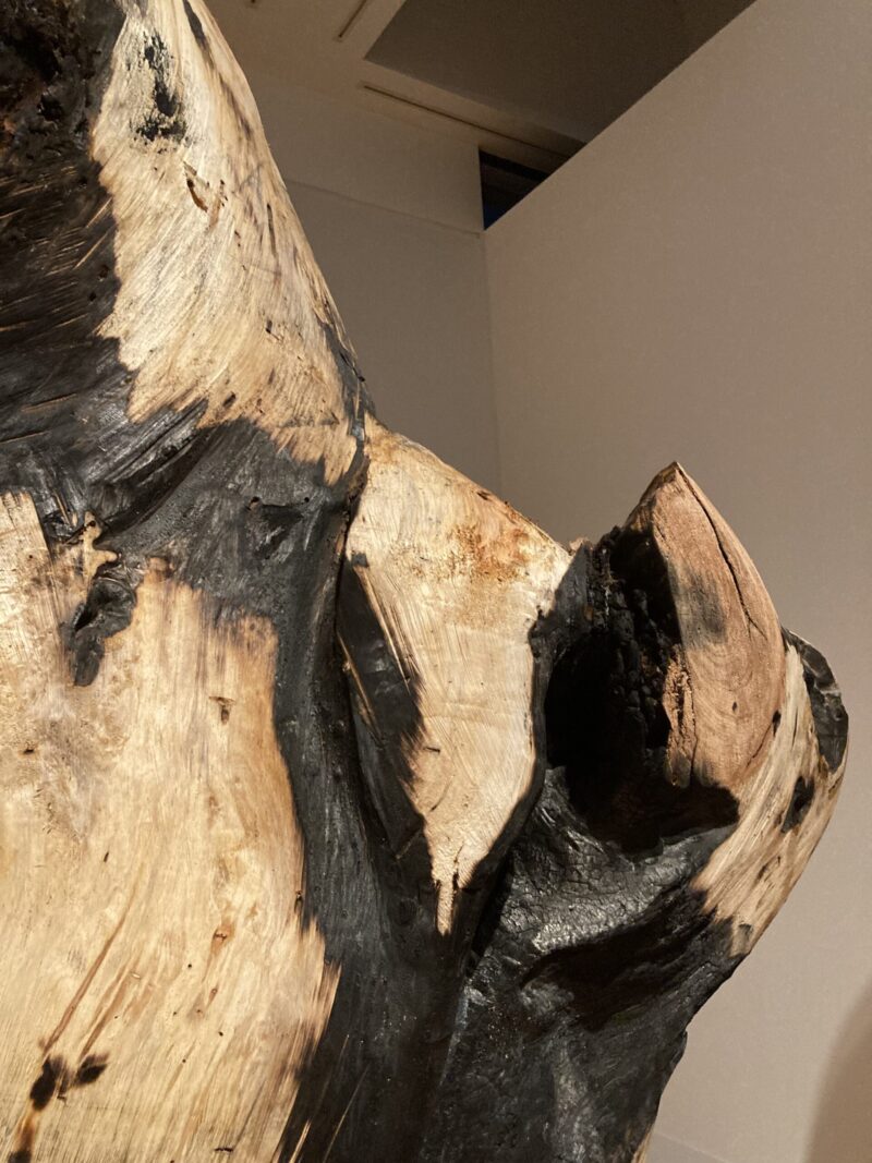 芸森リフレクションズ展示作品「恒LAOCOON」国松希根太