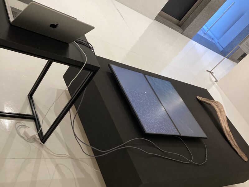 芸森リフレクションズ展示作品「(non)semantic process[version with a driftwood on Shiraoi beach]」平川紀道 コンピューター、液晶ディスプレイ、木