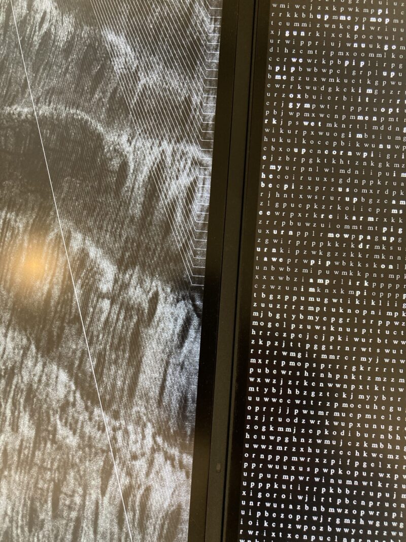 芸森リフレクションズ展示作品「(non)semantic process[version with a driftwood on Shiraoi beach]」平川紀道 コンピューター、液晶ディスプレイ、木