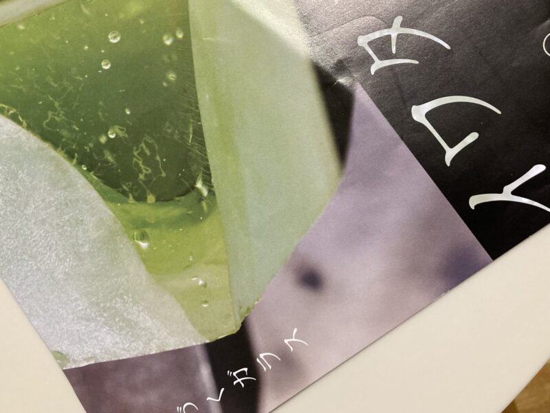 北海道立近代美術館で開催中のイワタルリ展のフライヤー。岩田家三代のガラス作品が紹介されている。