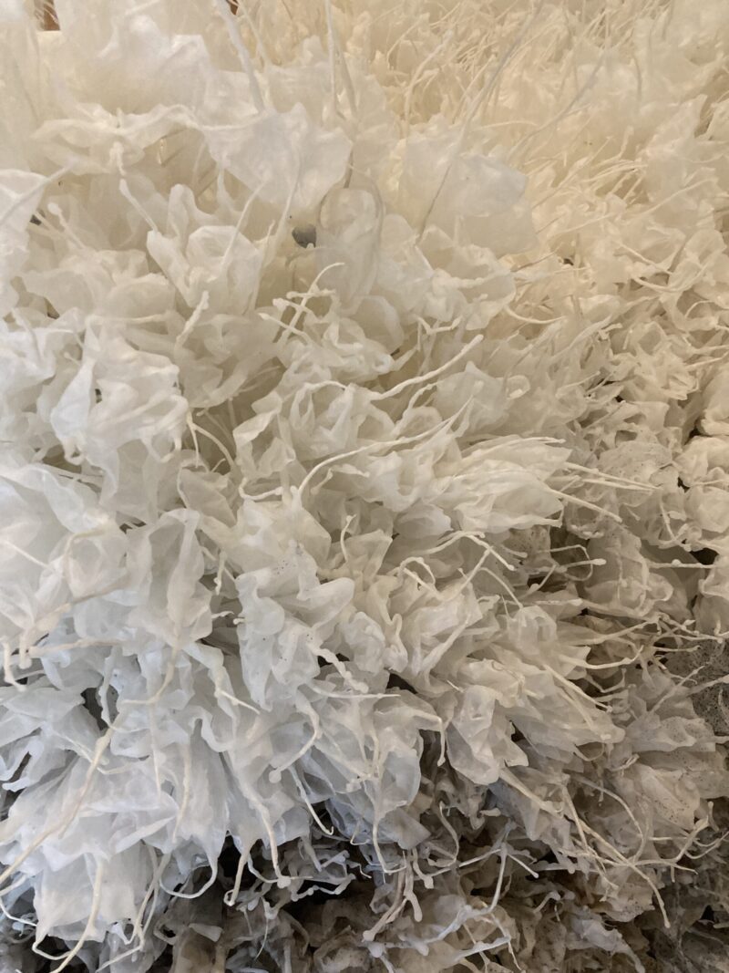 艾沢詳子さんの作品