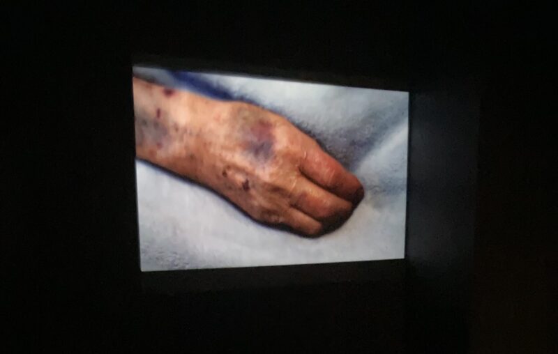 鈴木涼子さんの作品