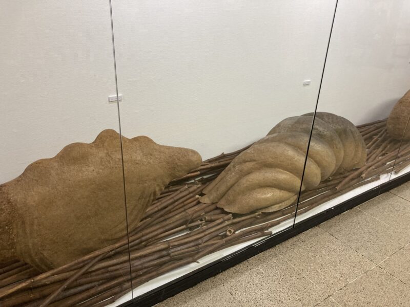 渡辺行男氏作成の作品、森林虫