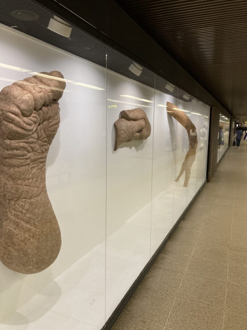 渡辺行男氏作成の作品、資源カメラの展示風景