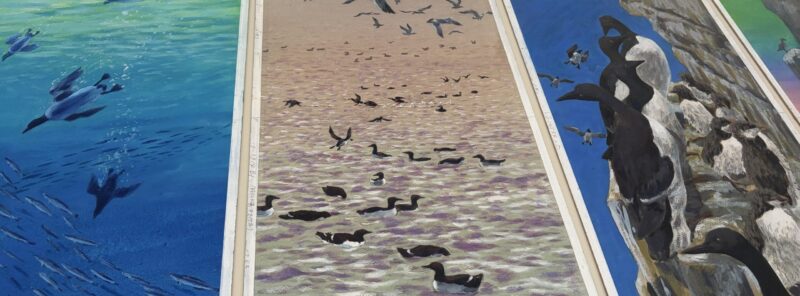 天売島のウミガラスと青い海が描かれた絵本原画の展示風景