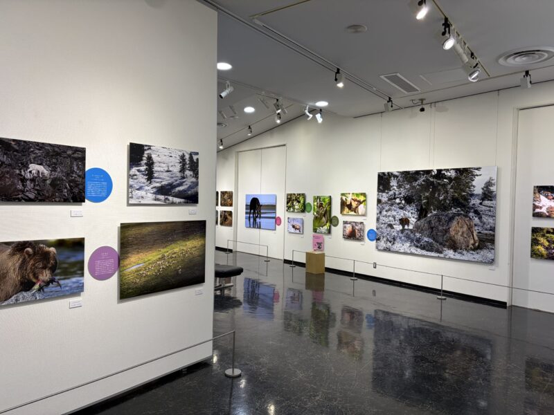 美幌博物館＿前川貴行氏写真展の展示風景