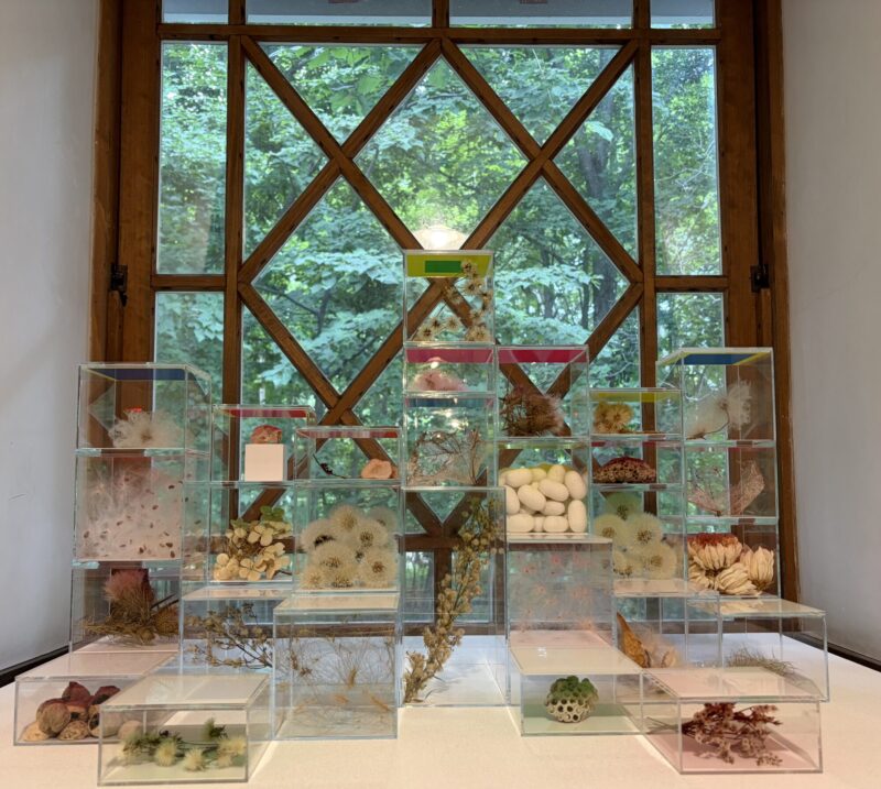 有島武郎旧邸_室内の展示の様子